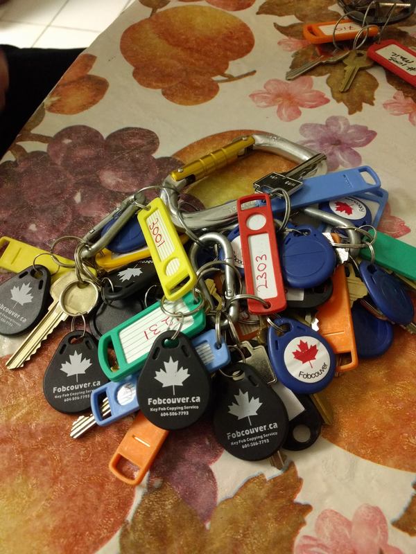 all formats of key fobs plastic rfid em 410x fob key copy clone service duplicate replace replacement copying 